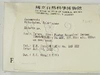 炭角菌屬藏品圖，第2張