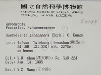 登錄號:F0005149藏品圖，第2張