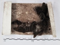 登錄號:F0005151藏品圖，第1張