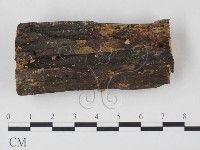 登錄號:F0005156藏品圖，第1張