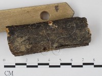 登錄號:F0005156藏品圖，第3張