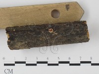 登錄號:F0005156藏品圖，第4張