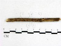 登錄號:F0005158藏品圖，第1張