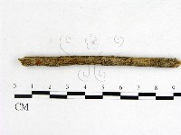 登錄號:F0005158藏品圖，第3張