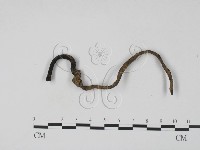 登錄號:F0005160藏品圖，第3張