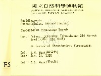 登錄號:F0005161藏品圖，第2張