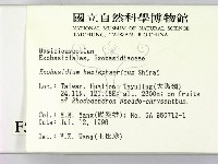 登錄號:F0005162藏品圖，第2張