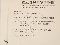 登錄號:F0005164藏品圖，第2張