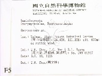 登錄號:F0005168藏品圖，第2張