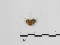 登錄號:F0005168藏品圖，第3張