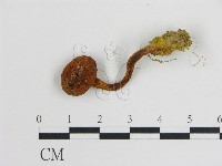 登錄號:F0005169藏品圖，第3張