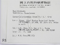 登錄號:F0005170藏品圖，第2張