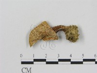 登錄號:F0005170藏品圖，第1張