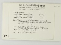 登錄號:F0005171藏品圖，第2張