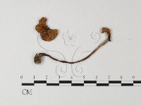 登錄號:F0005171藏品圖，第3張