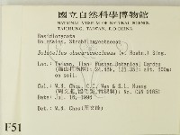 登錄號:F0005172藏品圖，第2張