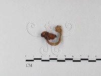 登錄號:F0005172藏品圖，第3張