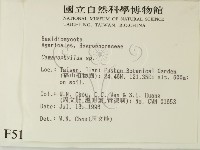 登錄號:F0005174藏品圖，第2張