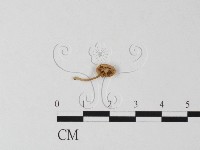 登錄號:F0005174藏品圖，第1張