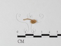 登錄號:F0005174藏品圖，第3張