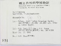 小皮傘屬藏品圖，第2張