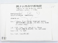 登錄號:F0005176藏品圖，第2張