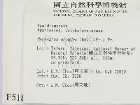 登錄號:F0005181藏品圖，第2張