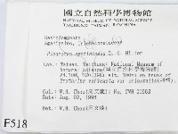 登錄號:F0005184藏品圖，第2張