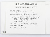 登錄號:F0005185藏品圖，第2張