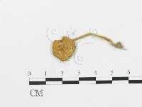 登錄號:F0005185藏品圖，第3張