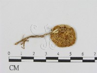 登錄號:F0005190藏品圖，第3張