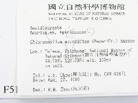 登錄號:F0005192藏品圖，第2張