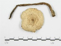 登錄號:F0005192藏品圖，第3張