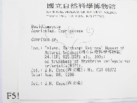 鬼傘屬藏品圖，第2張