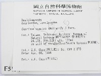 登錄號:F0005194藏品圖，第2張