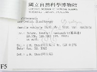 登錄號:F0005197藏品圖，第3張
