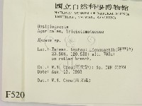 小菇屬藏品圖，第2張