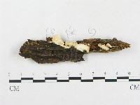 登錄號:F0005201藏品圖，第1張