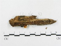 登錄號:F0005201藏品圖，第4張