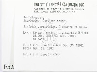 登錄號:F0005202藏品圖，第2張