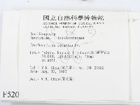 登錄號:F0005203藏品圖，第2張
