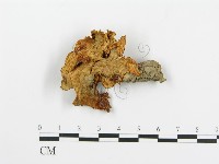 登錄號:F0005203藏品圖，第3張