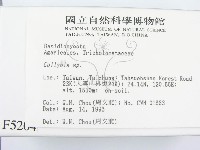 登錄號:F0005204藏品圖，第2張