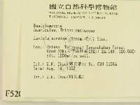 登錄號:F0005205藏品圖，第2張