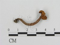 登錄號:F0005205藏品圖，第1張