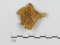 登錄號:F0005208藏品圖，第1張