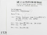 紅菇屬藏品圖，第2張