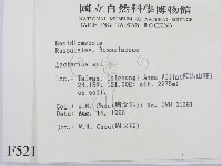 乳菇屬藏品圖，第2張