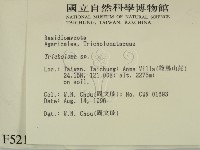 登錄號:F0005212藏品圖，第2張