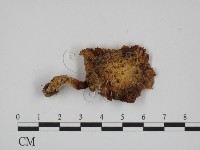 登錄號:F0005212藏品圖，第3張